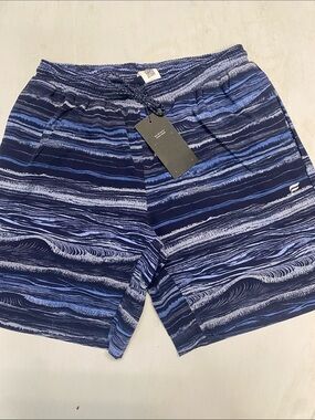 Fabletics Men's Navy and Light Blue Striped Swim Trunks